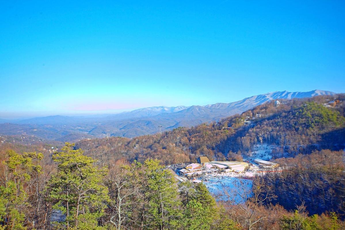 Above The Tree Tops 세비어빌 외부 사진