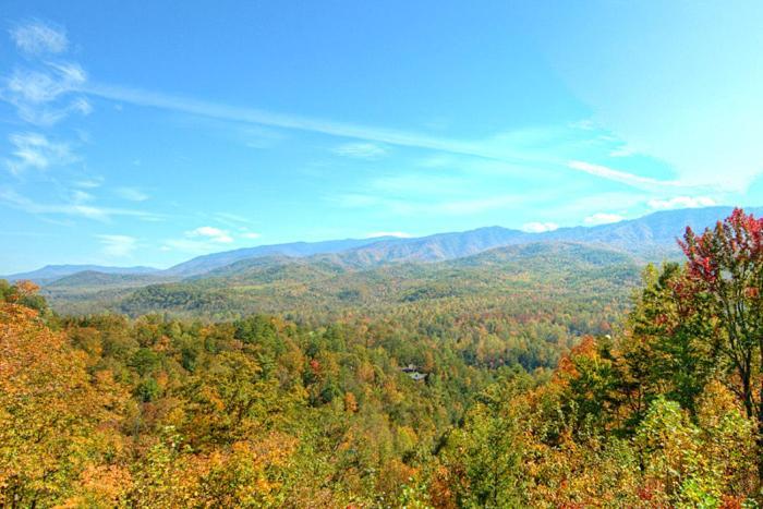 Above The Tree Tops 세비어빌 외부 사진