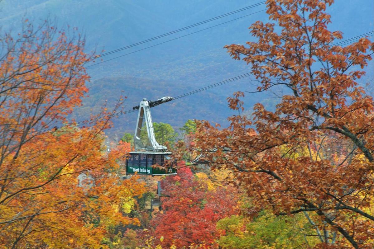 Above The Tree Tops 세비어빌 외부 사진